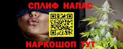 молекула духа Сланцы